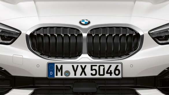 BMW 1er Doppelniere
